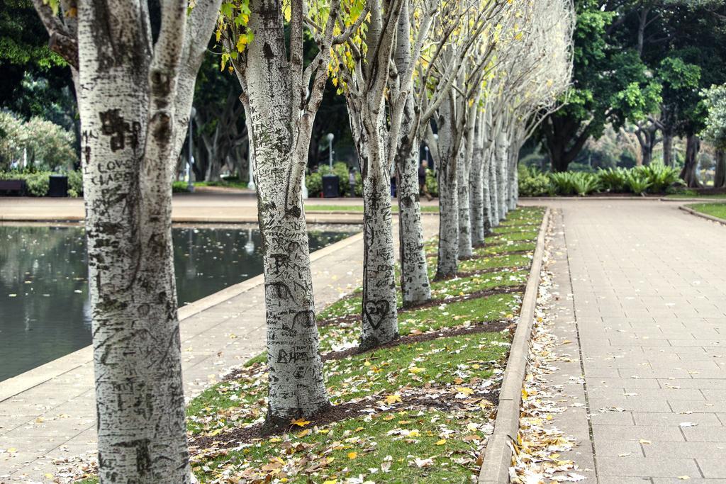 Oaks Sydney Hyde Park Suites Екстериор снимка